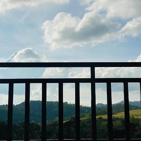 Misty Coorg Greens マディケーリ エクステリア 写真